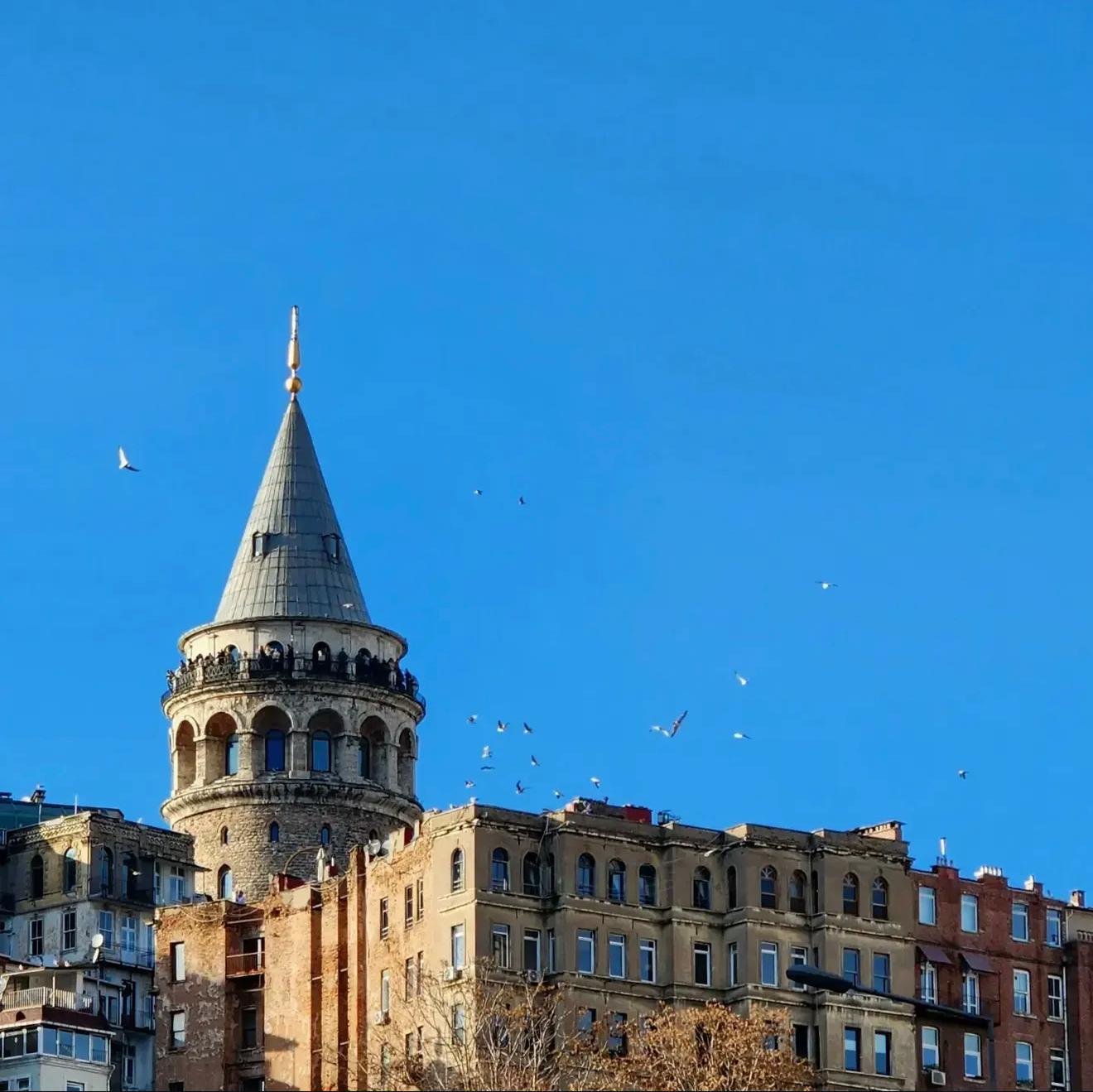 Galata Kulesi ve martılar